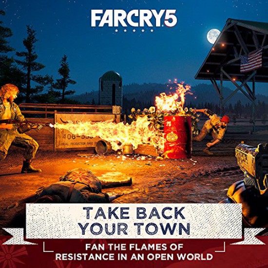 Far Cry 5 (Region2) - PlayStation 4 Standard Edition