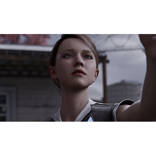 Detroit Become Human (Region2) - PlayStation 4