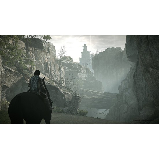 (USED) Shadow of the Colossus (Region2) - PS4 (USED)