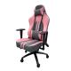Gaming Chair ( Pink & Silver )	