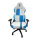 Gaming Chair ( White & Blue )