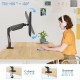 Single Monitor Desk Mount 13" to 32" (M10-12)