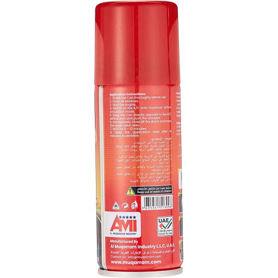 Dolphin A/C Cleaner (100ML)