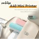 PeriPage A40 Portable Mini Thermal Printer (203DPI / Gray)